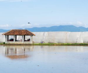 Jasa Sertifikasi Wisata Halal