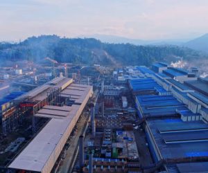 Jasa Pengurusan NPT Oil